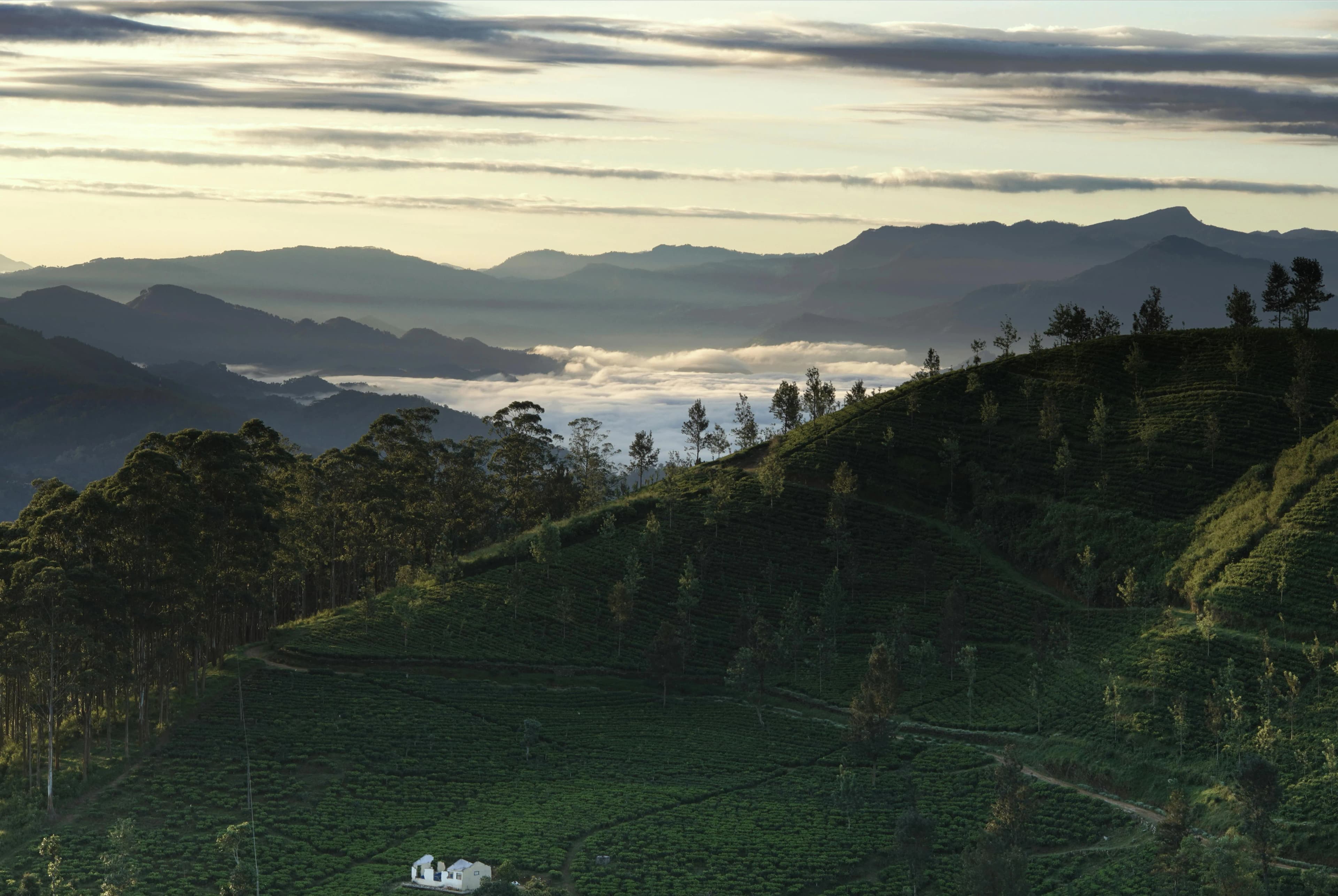 Sri Lanka scenic view
