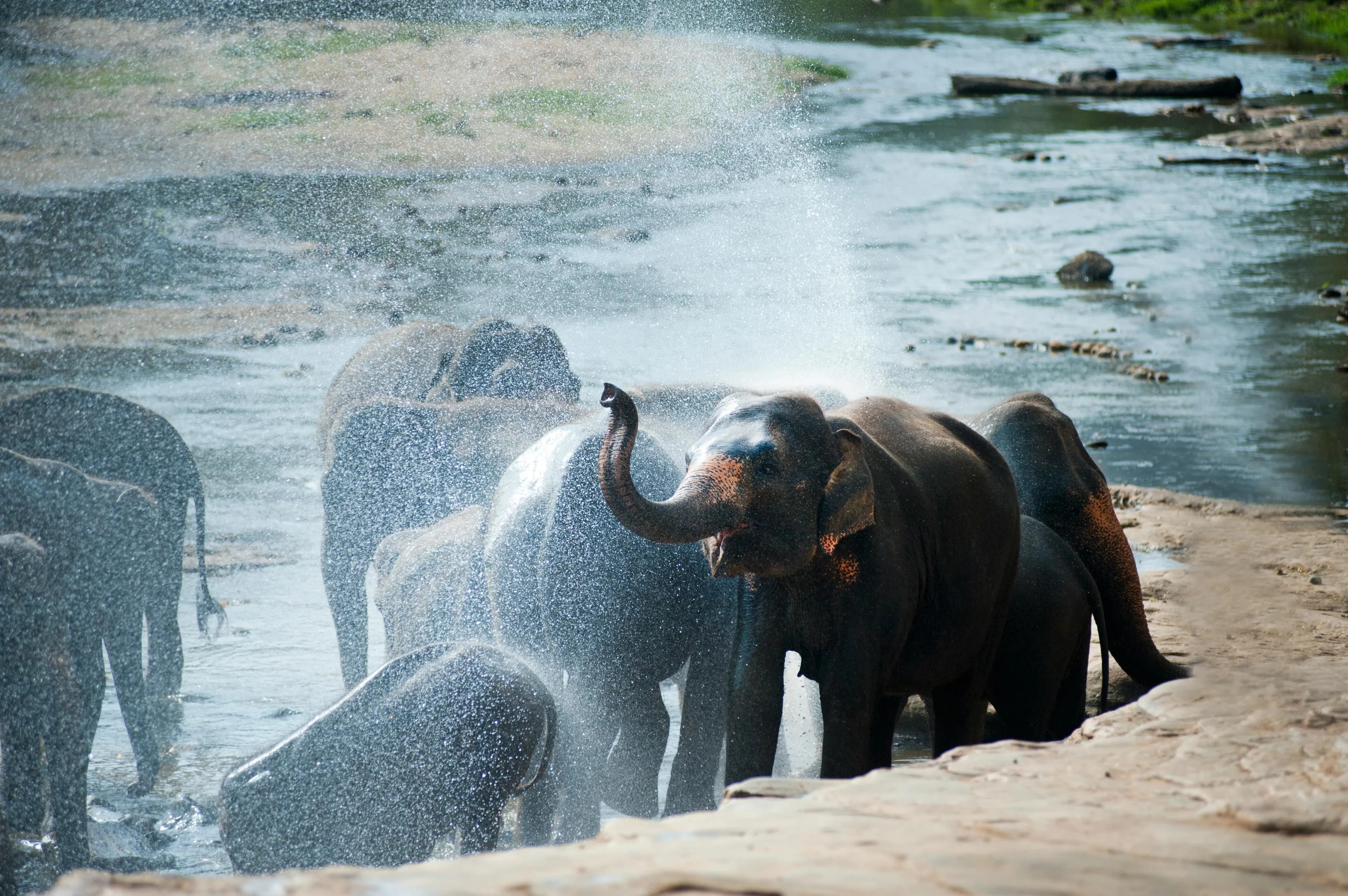 Tailor Made Sri Lanka Tour